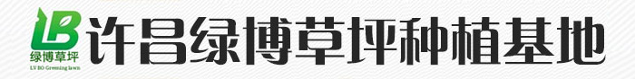 许昌草坪基地