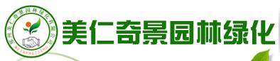 河南草坪批发