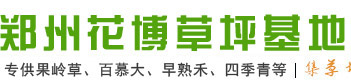 河南草坪基地